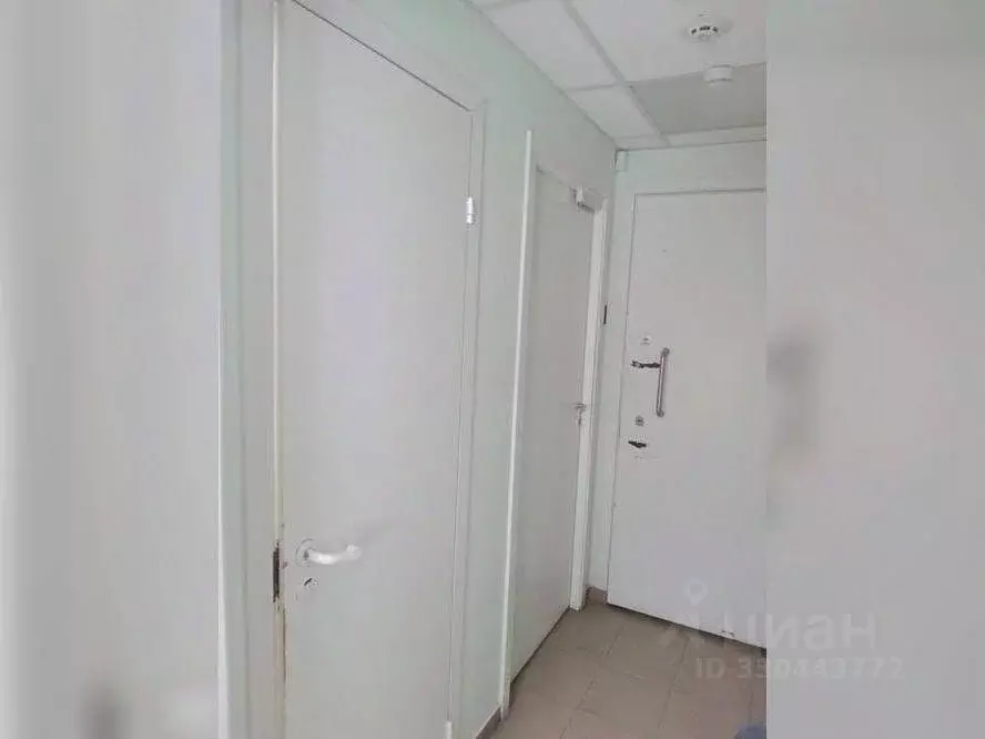 Помещение свободного назначения в Нижегородская область, Бор ... - Фото 2