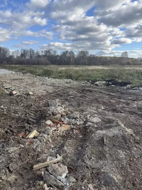 Участок в Свердловская область, Екатеринбург Шабровские дачи жилой ... - Фото 2