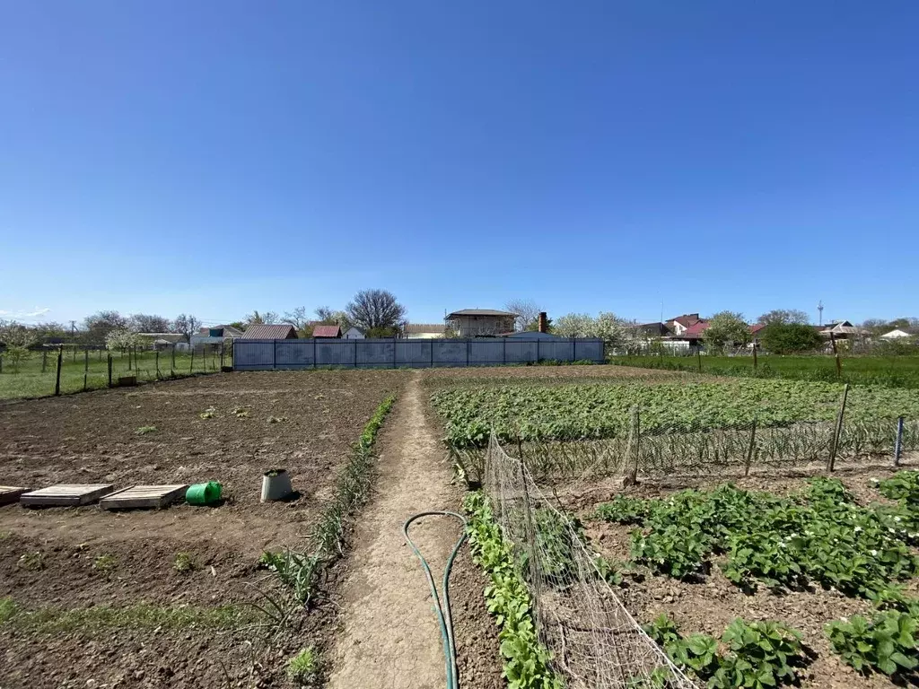 Участок в Краснодарский край, Темрюкский район, Запорожское с/пос, ... - Фото 1