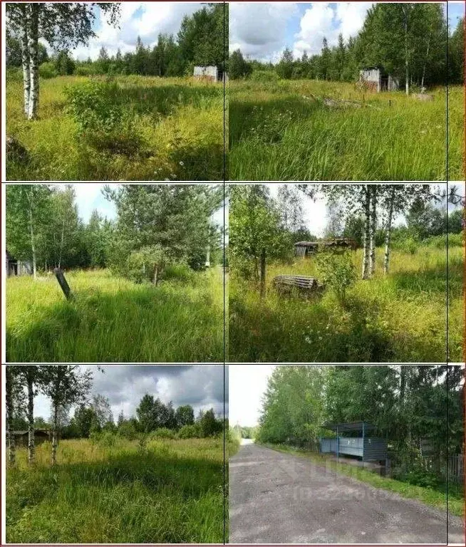 Участок в Новгородская область, Новгородский район, Савинское с/пос, ... - Фото 1