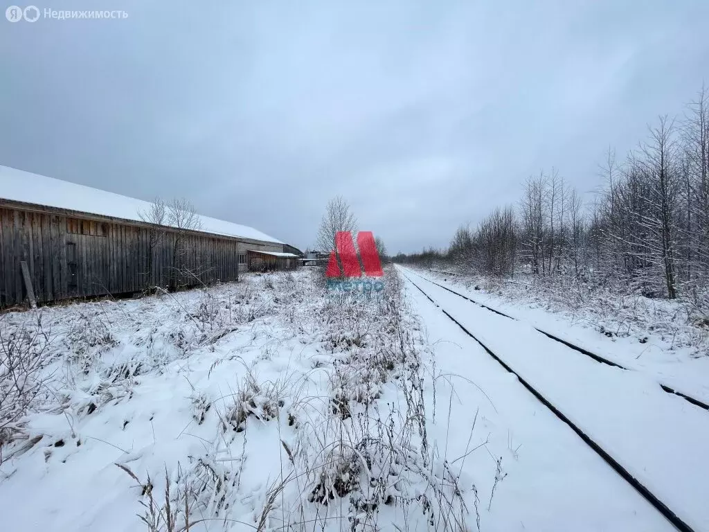 Производственное помещение (2900 м) - Фото 2