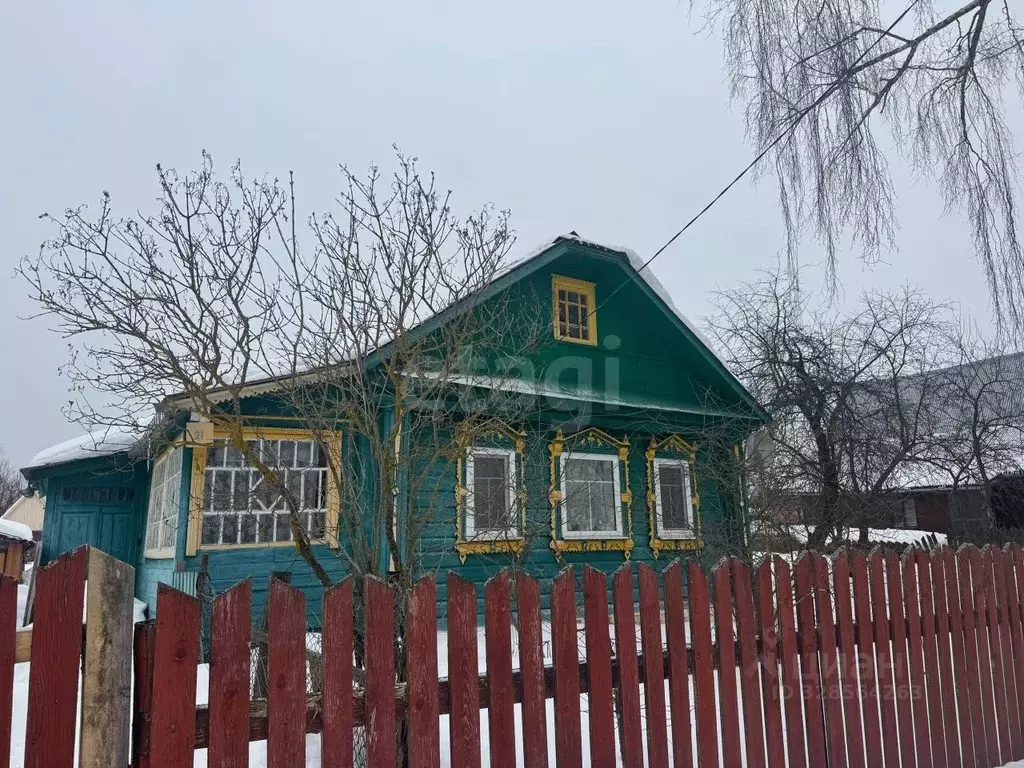 Дом в Владимирская область, Петушки ул. Пушкина, 21 (47 м) - Фото 1