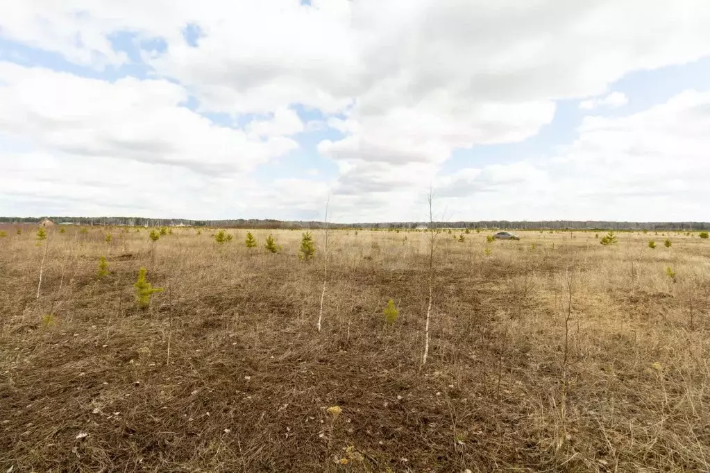 Участок в Тюменская область, Тюменский муниципальный округ, Каменское ... - Фото 1