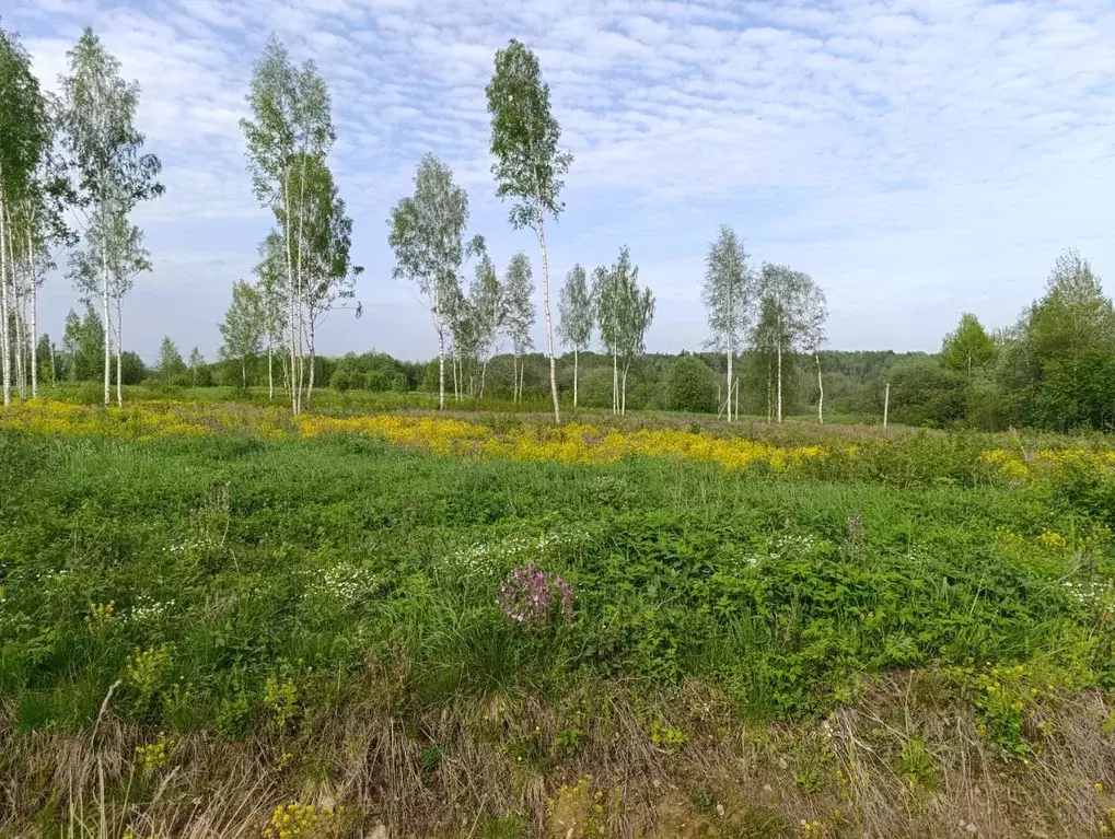 Участок в Ленинградская область, Кировский район, Мгинское городское ... - Фото 2