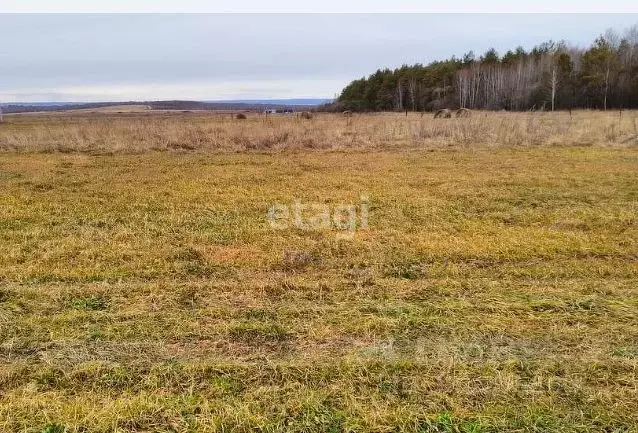 Участок в Амурская область, с. Тамбовка  (10.0 сот.) - Фото 1