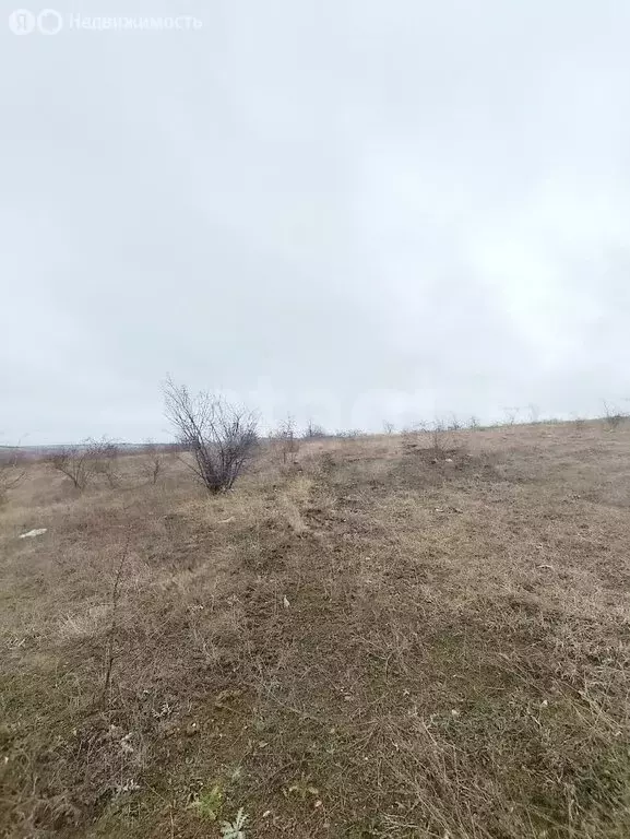 Участок в Белогорский район, посёлок городского типа Зуя (6 м) - Фото 2