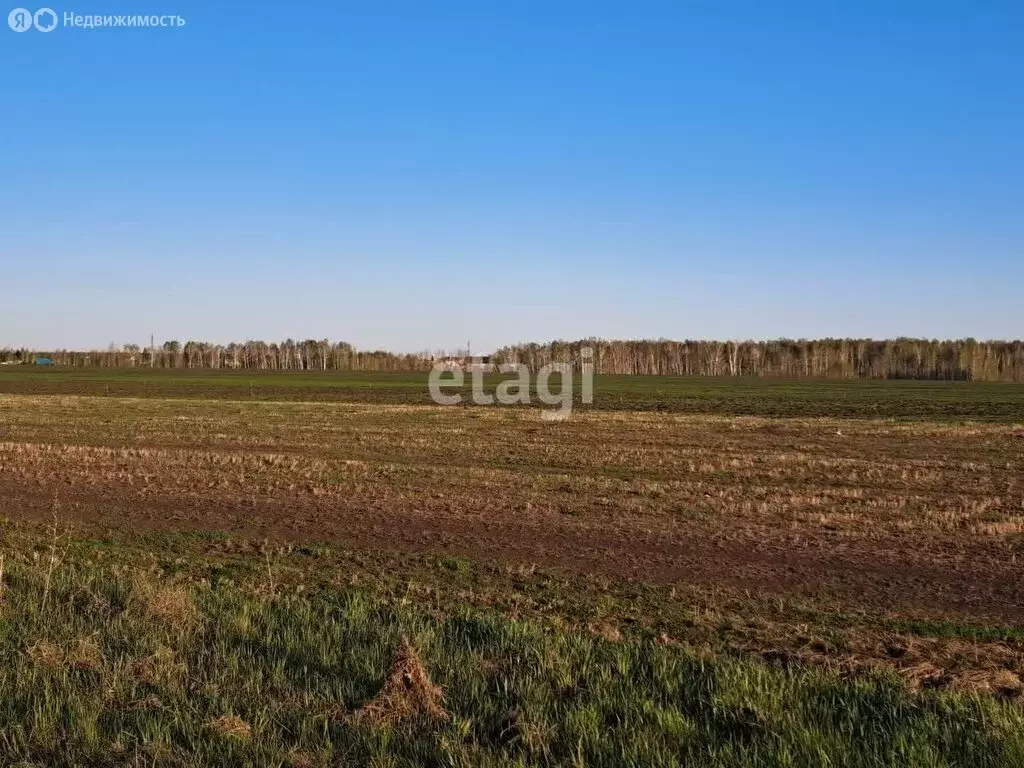 Участок в Ишимский район, село Второпесьяново (7.4 м) - Фото 1