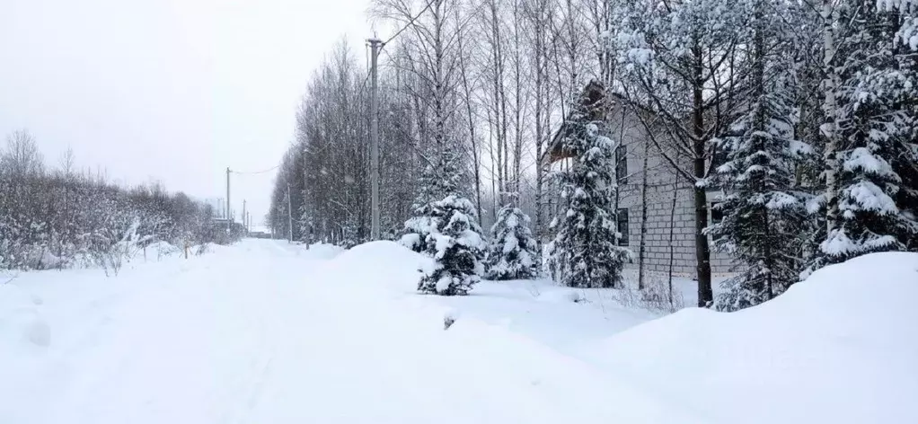 Участок в Ленинградская область, Всеволожский район, Агалатовское ... - Фото 1