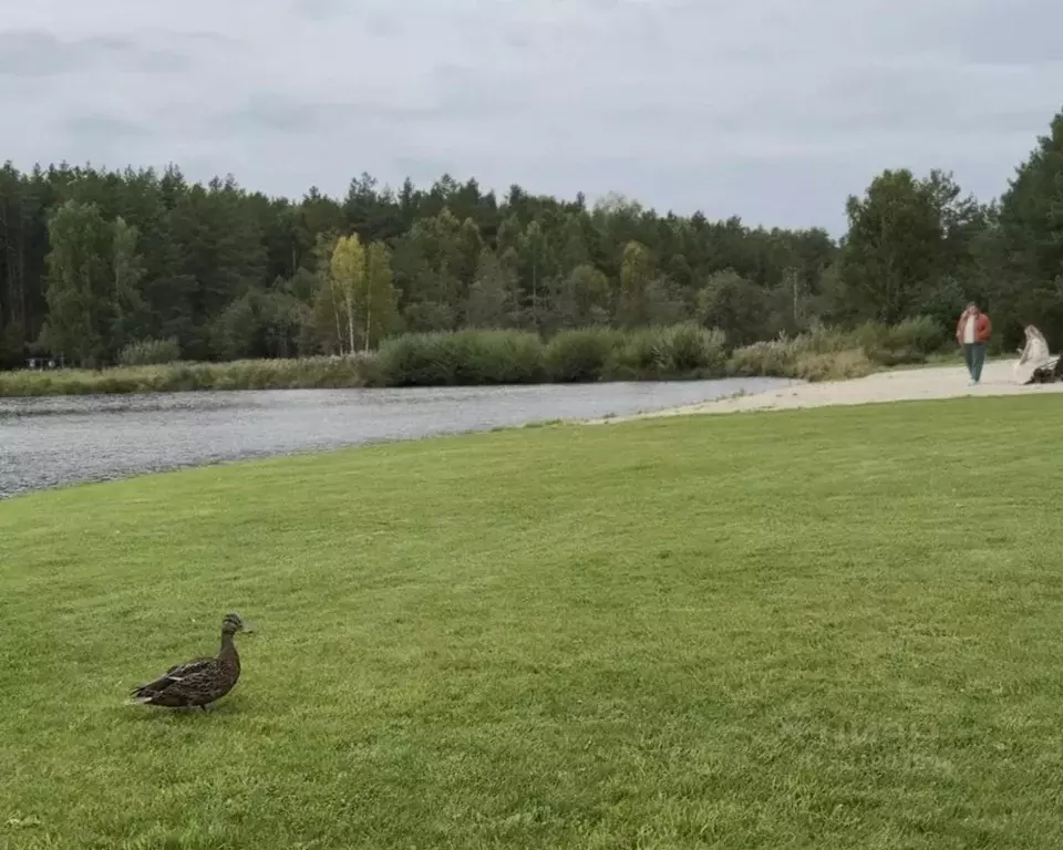 Участок в Свердловская область, Полевской муниципальный округ, с. ... - Фото 0