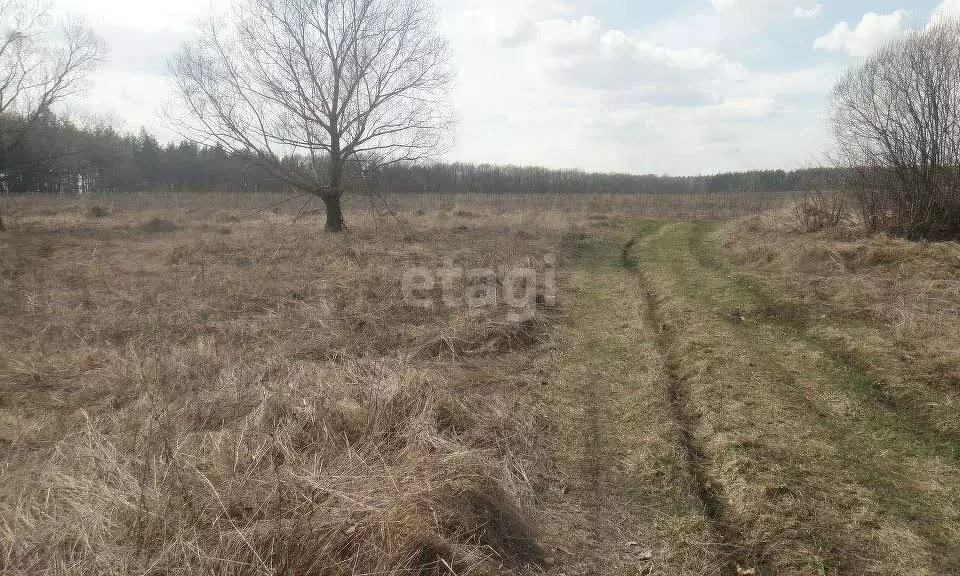 Участок в Орловский муниципальный округ, село Альшань (42 м) - Фото 0