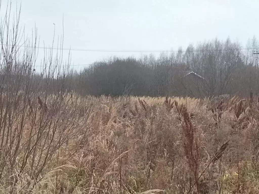 Участок в Московская область, Раменский муниципальный округ, д. ... - Фото 1