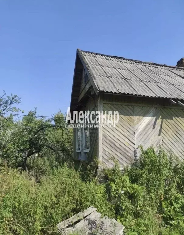 Дом в Ленинградская область, Лужский район, пос. Торковичи ул. 2-я ... - Фото 2