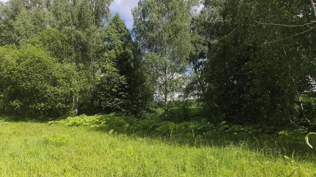 Участок в Тульская область, Тула городской округ, с. Алешня  (50.0 ... - Фото 2