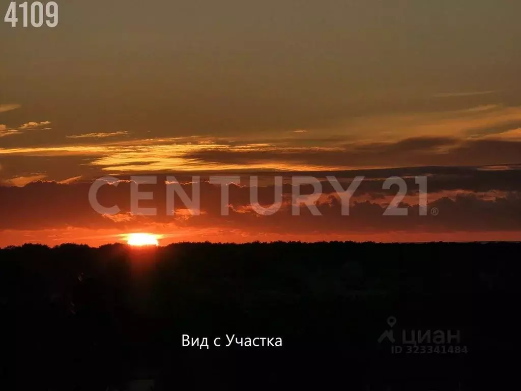 Участок в Севастополь Орешек ТСН, 40 (6.7 сот.) - Фото 2