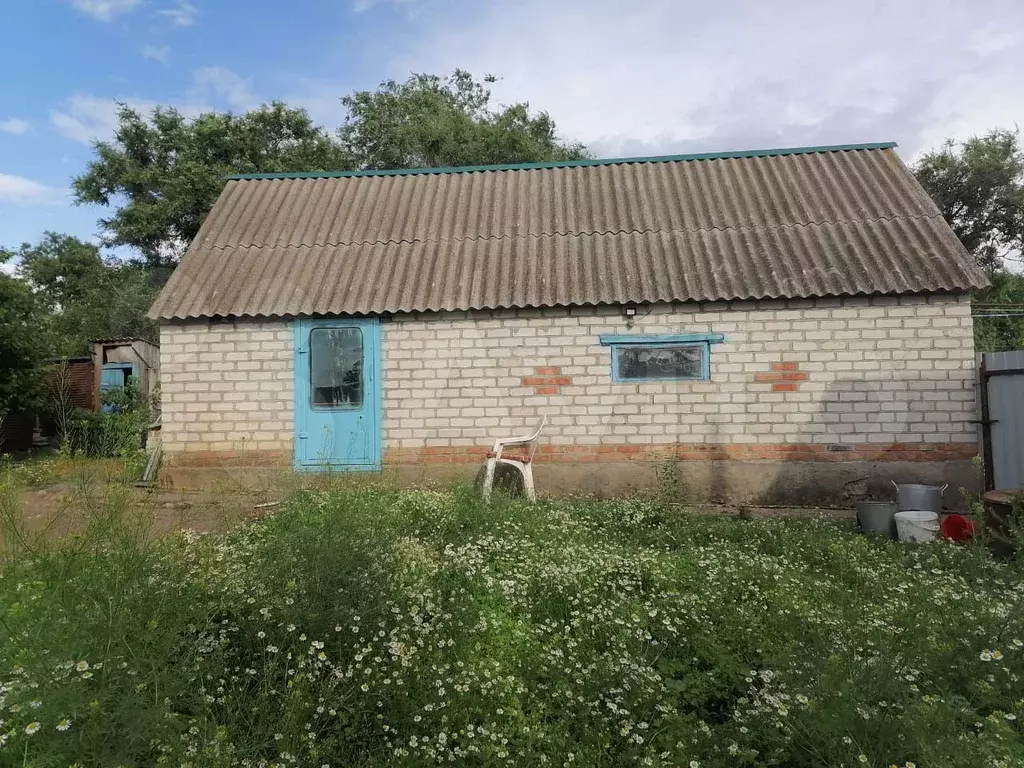 Погода шангалы ставропольский