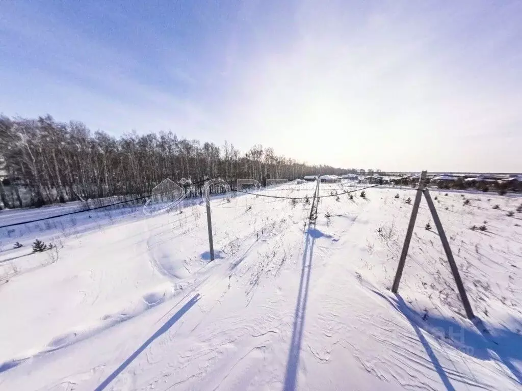 Участок в Тюменская область, Тюменский муниципальный округ, д. Елань ... - Фото 2