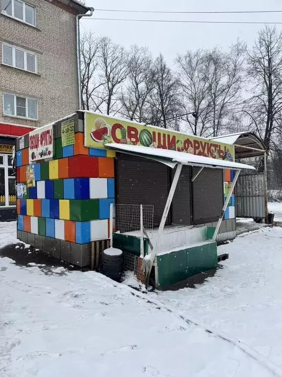 Торговая площадь в Владимирская область, Струнино г. Александровский ... - Фото 1
