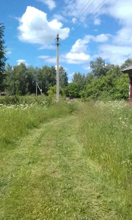 участок в ивановская область, пучежский район, сеготское с/пос, д. . - Фото 0