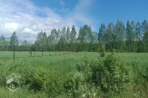 Участок в Новгородская область, Новгородский район, д. Сопки ул. ... - Фото 0