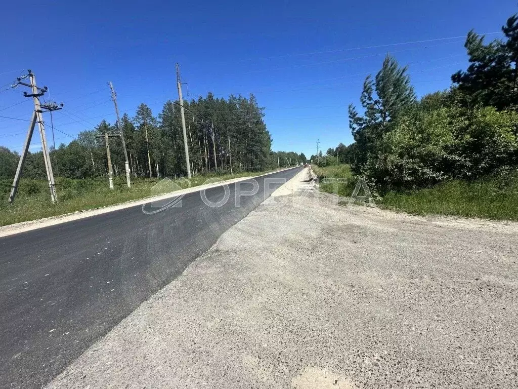Участок в Тюменская область, Нижнетавдинский муниципальный округ, с. ... - Фото 1
