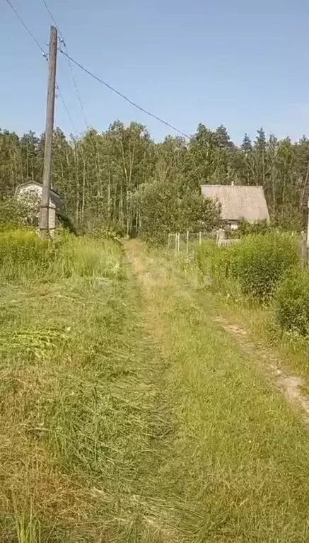 Участок в Брянская область, Брянский район, Нетьинское с/пос, Нетьинка ... - Фото 1