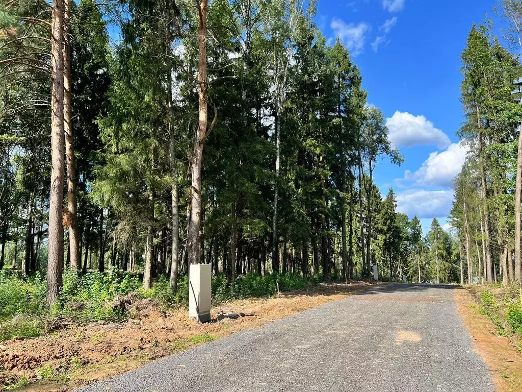 Участок в Московская область, Клин городской округ, Решетниково рп, ... - Фото 1