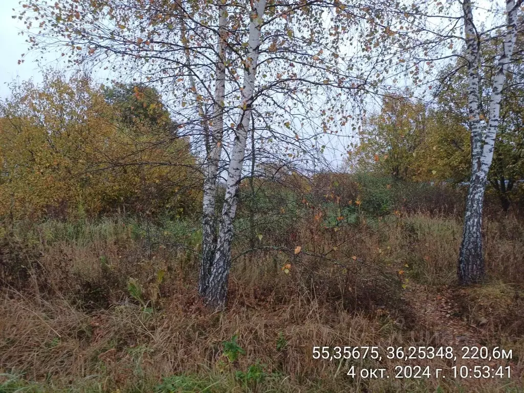 Участок в Московская область, Наро-Фоминский городской округ, д. ... - Фото 0