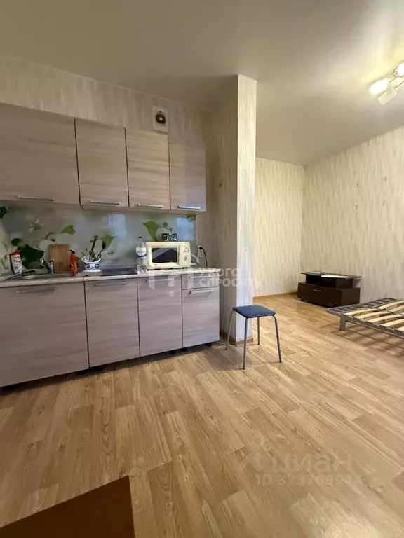 Студия Санкт-Петербург, Санкт-Петербург, Петергоф ул. Парковая, 16к2 ... - Фото 2