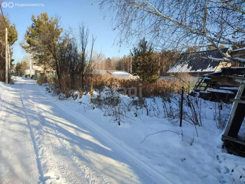 Участок в Новосибирск, СПК Сибирский Авиатор (4.1 м) - Фото 1