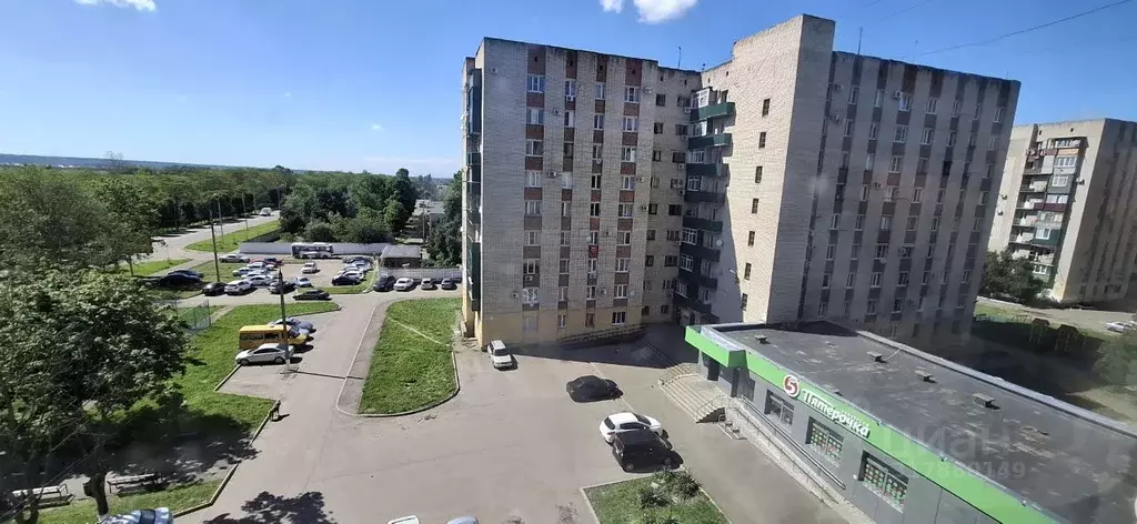 1-к кв. Адыгея, Майкоп ул. Димитрова, 14 (33.9 м) - Фото 0
