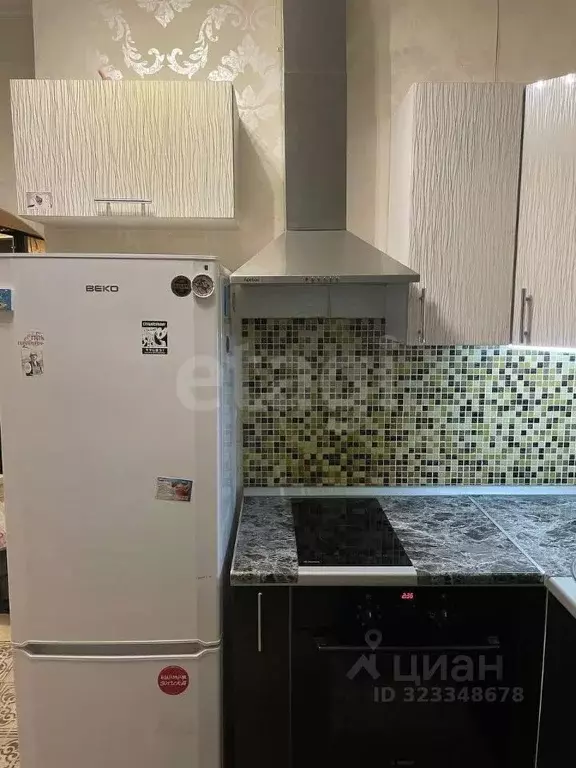 Студия Санкт-Петербург ул. Руставели, 60 (25.1 м) - Фото 2