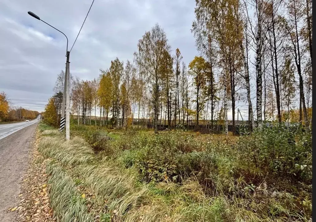 Участок в Ленинградская область, Всеволожский район, Агалатовское ... - Фото 0