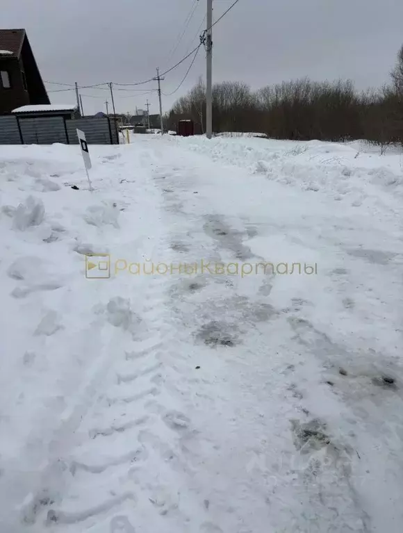Участок в Новосибирская область, Новосибирский район, Толмачевский ... - Фото 2