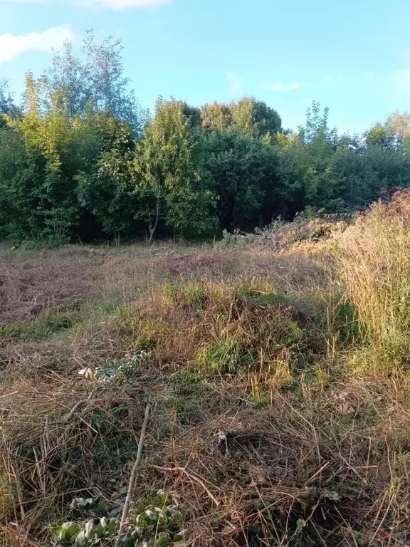 Участок в Нижегородская область, Богородский муниципальный округ, д. ... - Фото 0