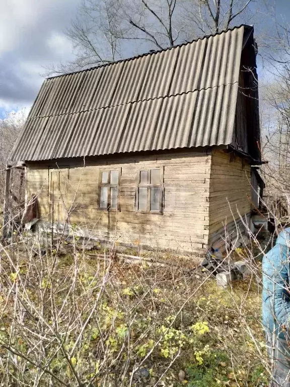 Дом в Свердловская область, Нижний Тагил Цементная ул. (36 м) - Фото 0