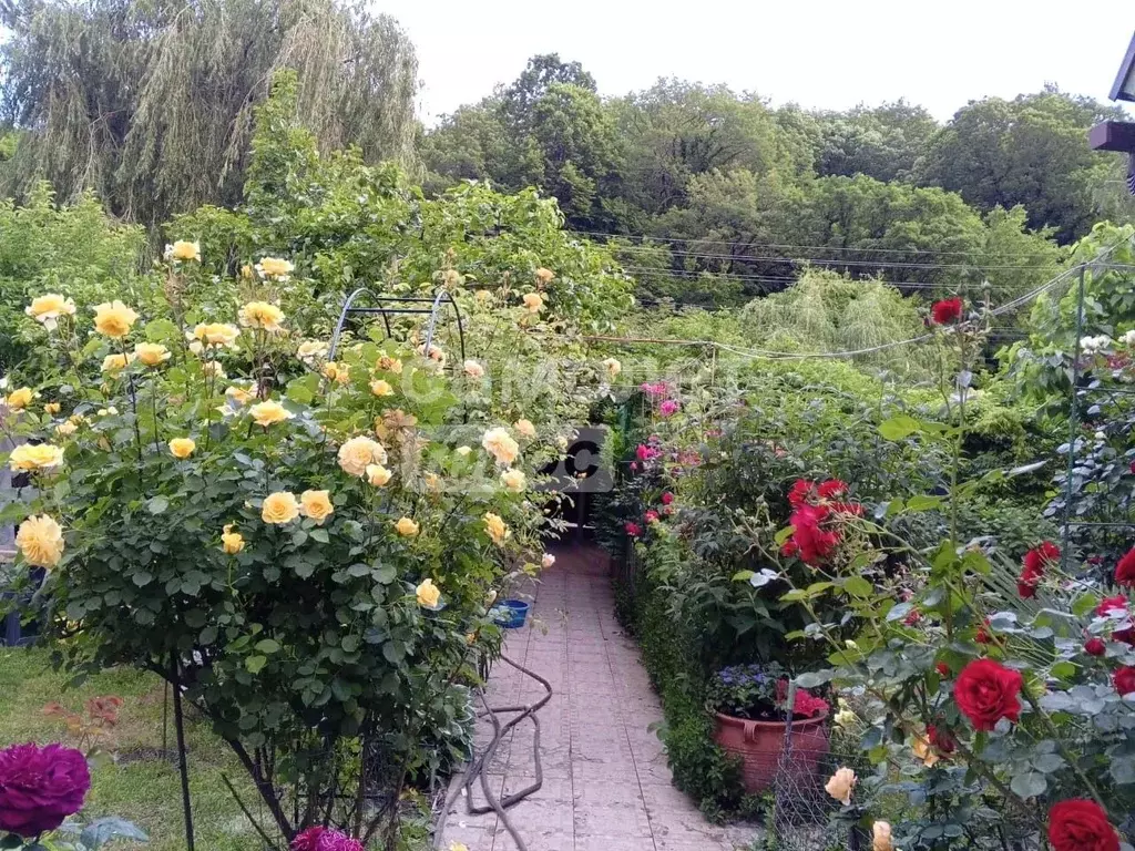 Дом в Краснодарский край, Туапсинский муниципальный округ, Джубга пгт, ... - Фото 2