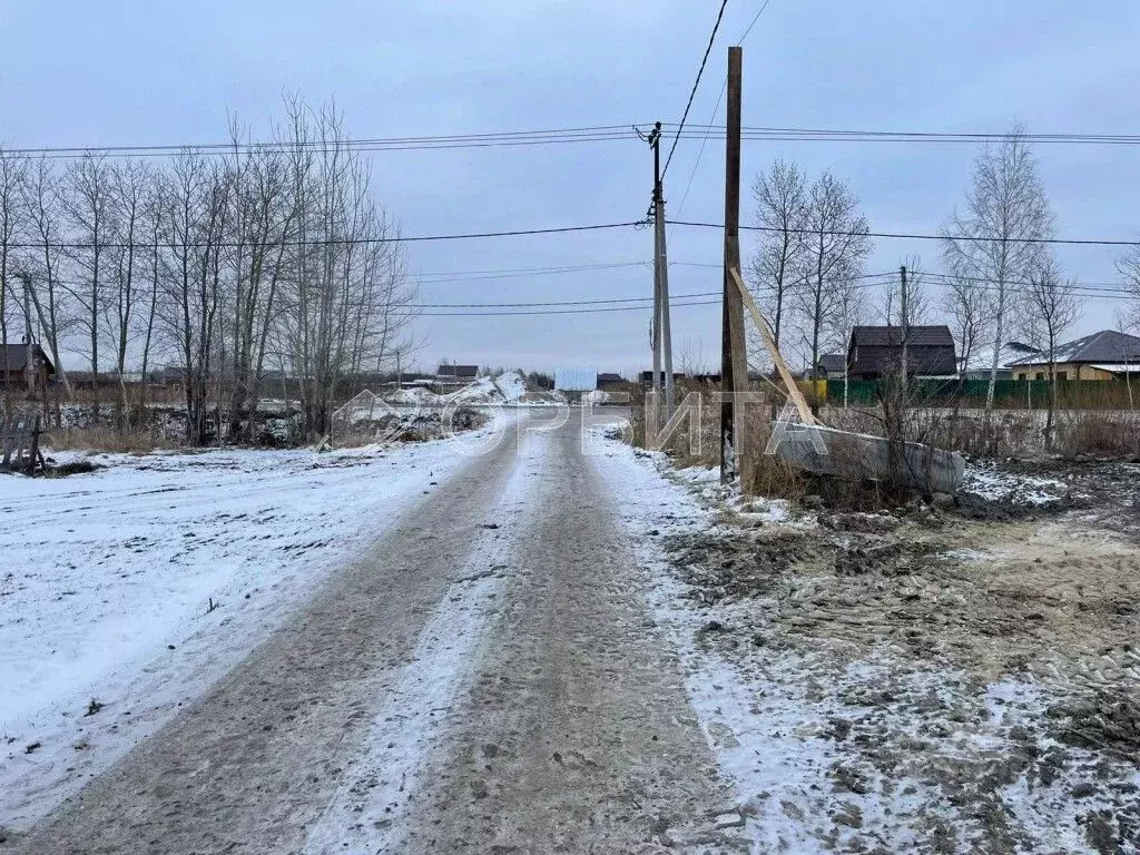 Участок в Тюменская область, Тюмень Царево садовое товарищество, ул. ... - Фото 1