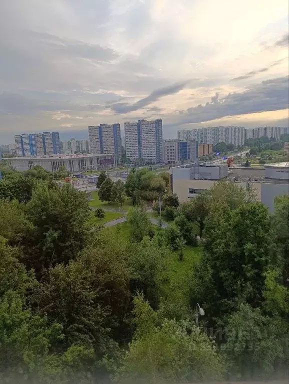 3-к кв. Москва Новоясеневский просп., 13К1 (59.2 м) - Фото 2