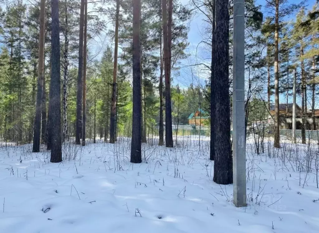 Участок в Свердловская область, Екатеринбург муниципальное ... - Фото 1