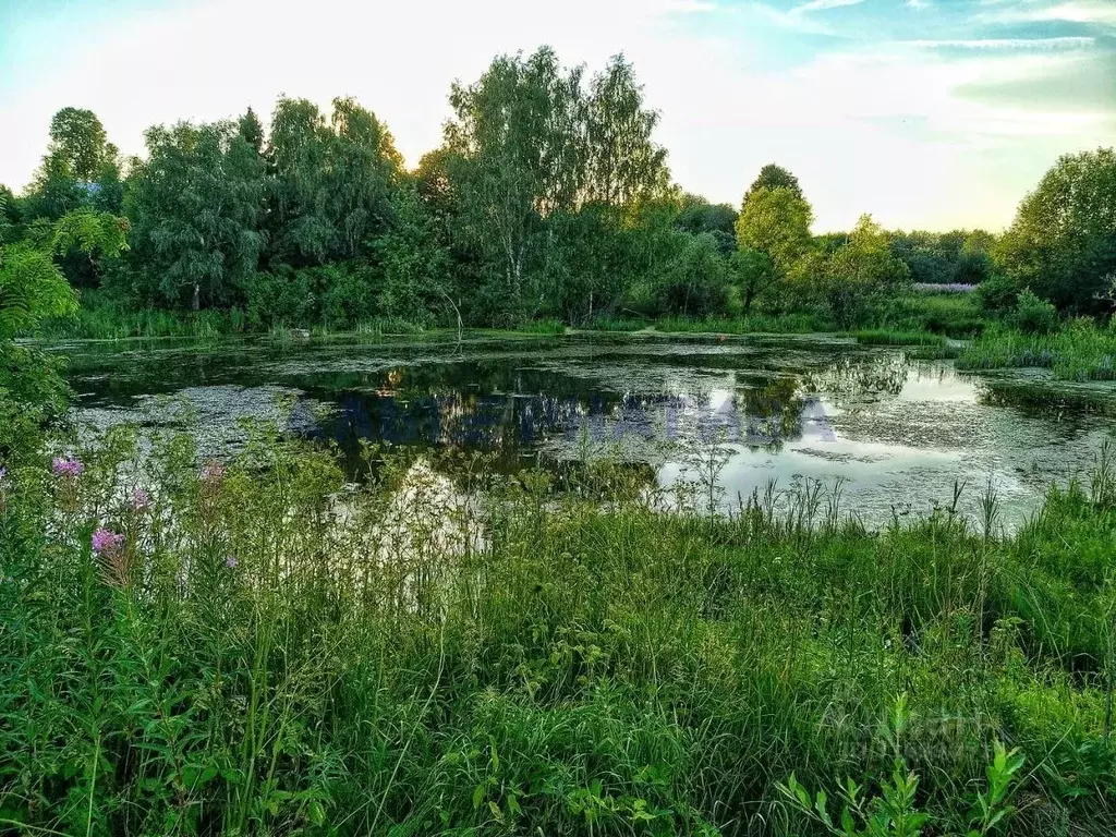 Участок в Ярославская область, Переславль-Залесский муниципальный ... - Фото 1