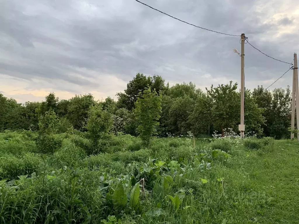 Участок в Тульская область, Тула городской округ, д. Федоровка  (15.0 ... - Фото 2