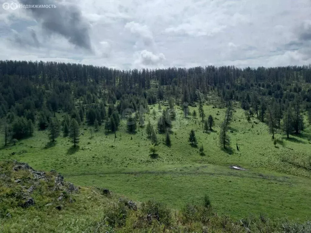 Участок в Усть-Канский район, село Яконур (1299.99 м) - Фото 2