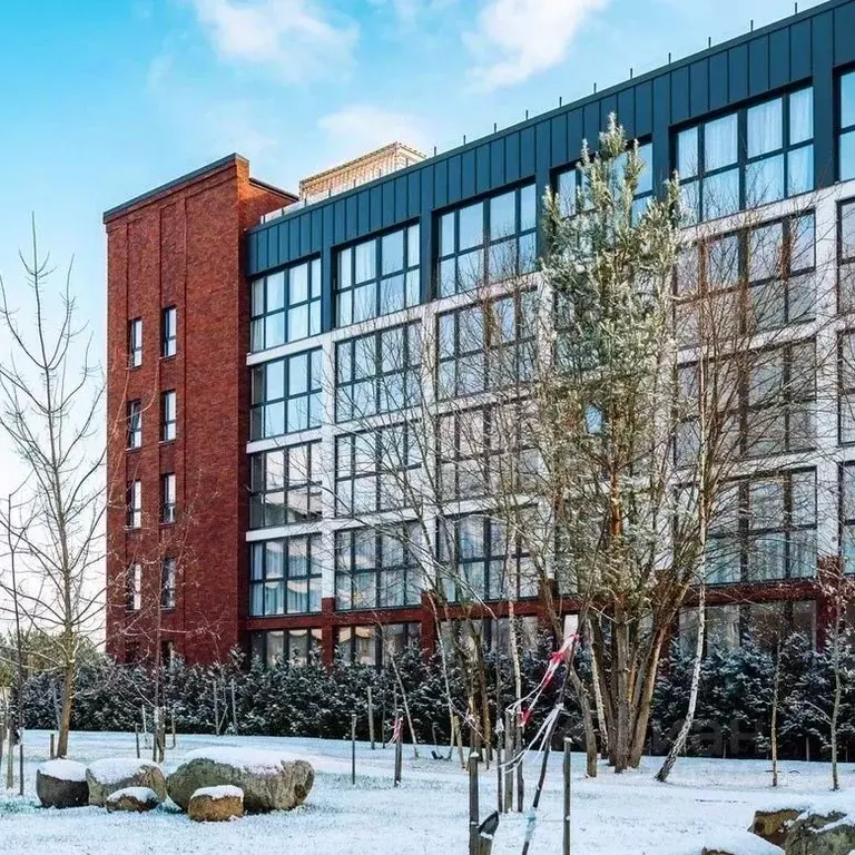 1-к кв. Калининградская область, Светлогорск Олимпийский бул., 3 (45.0 ... - Фото 2