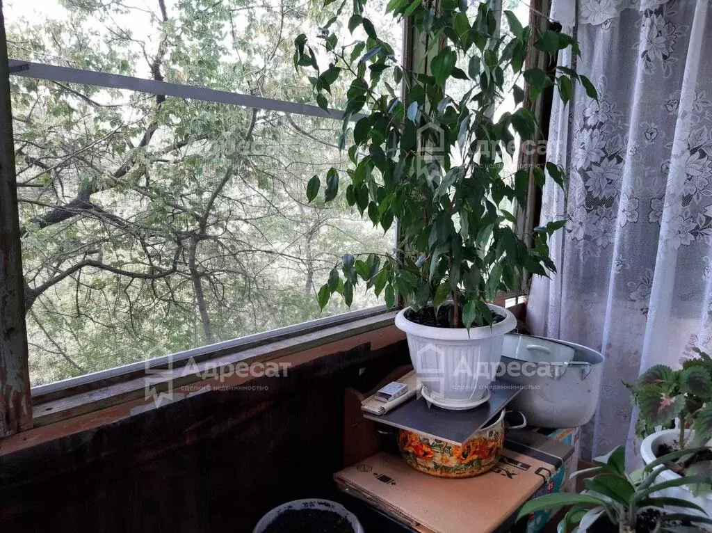 2-комнатная квартира: Волжский, улица имени Генерала Карбышева, 31 ... - Фото 1