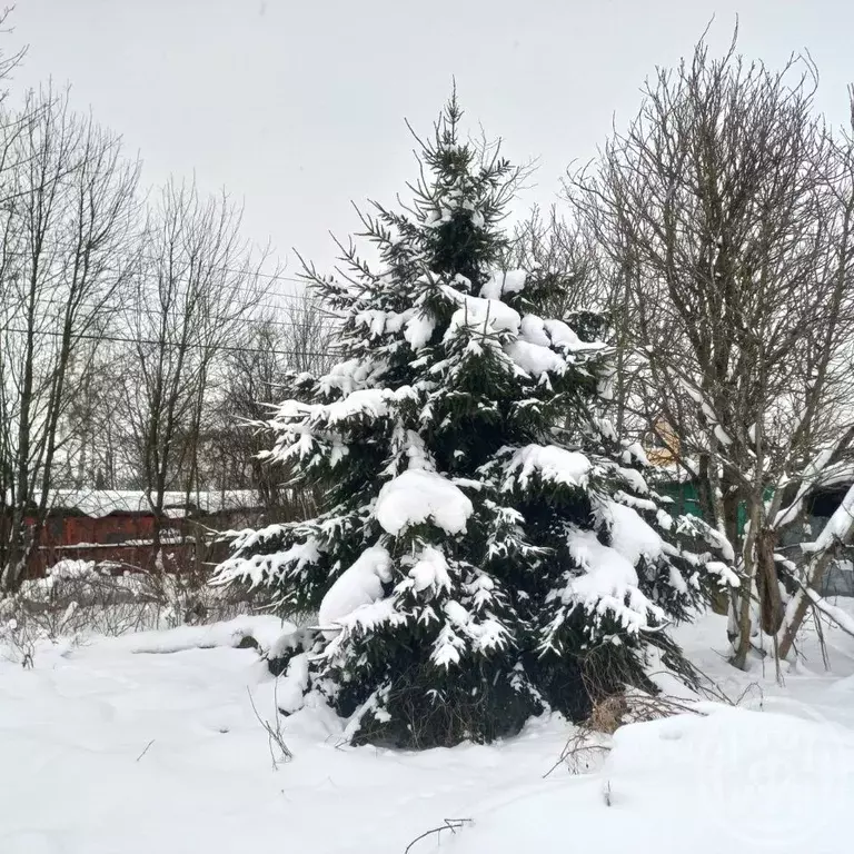 Дом в Санкт-Петербург Торики СНТ, аллея 3-я, 68 (150 м) - Фото 2