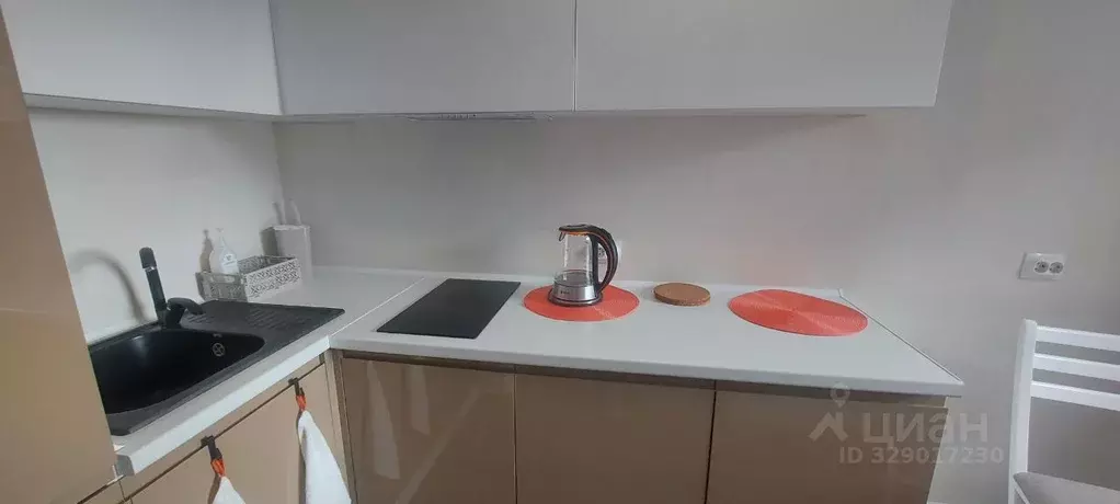 Студия Московская область, Ленинский городской округ, пос. Битца Южная ... - Фото 2