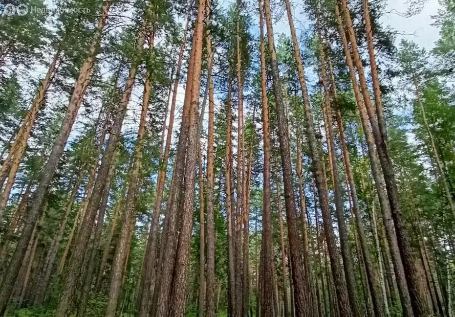 Дом в Бузулукский район, Колтубановский поссовет, посёлок ... - Фото 0