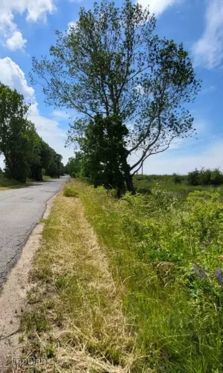 Участок в Калининградская область, Янтарный городской округ, пос. ... - Фото 1