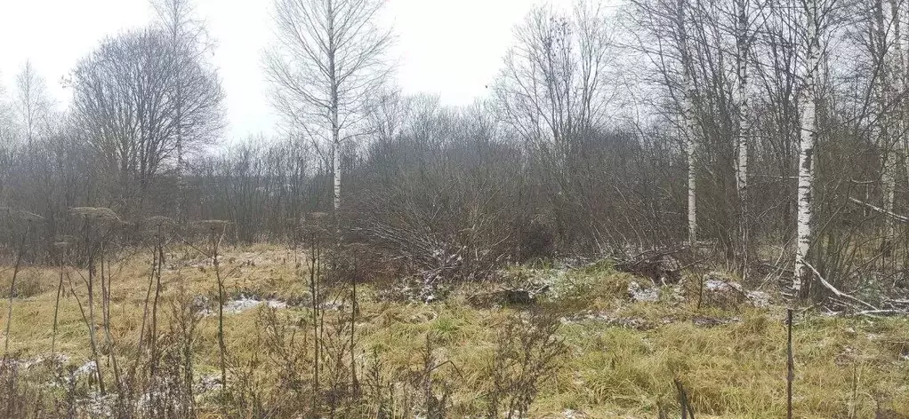 Участок в Московская область, Талдомский городской округ, д. Юркино  ... - Фото 1