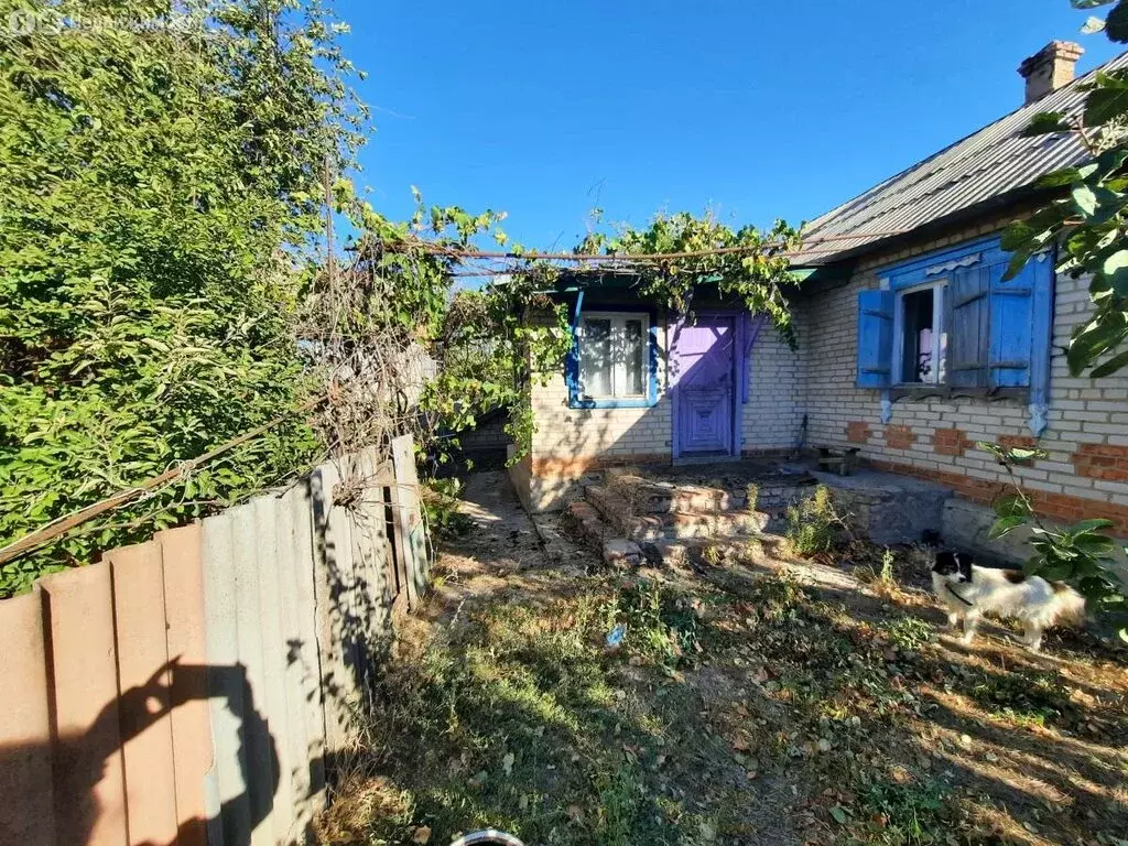 Дом в хутор Нижнеговейный, улица Кривошлыкова (40.1 м) - Фото 1